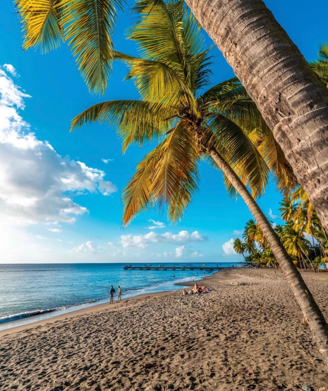 Bas De Villa Vacances Ocean 勒卡尔贝 外观 照片